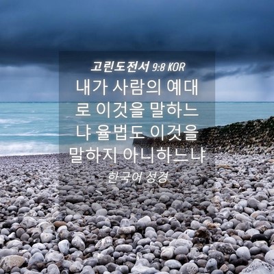 Picture 04 - 고린도전서 9:8 KOR - 내가 사람의 예대로 이것을 말하느냐 - Bible Verse Picture