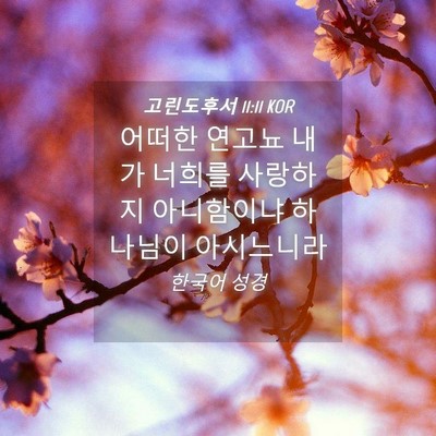 Picture 04 - 고린도후서 11:11 KOR - 어떠한 연고뇨 내가 너희를 사랑하지 - Bible Verse Picture