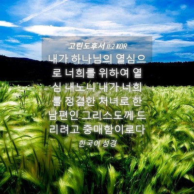 Picture 04 - 고린도후서 11:2 KOR - 내가 하나님의 열심으로 너희를 - Bible Verse Picture