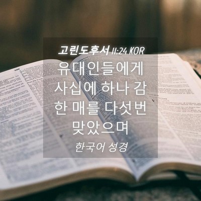 Picture 04 - 고린도후서 11:24 KOR - 유대인들에게 사십에 하나 감한 매를 - Bible Verse Picture