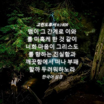 Picture 04 - 고린도후서 11:3 KOR - 뱀이 그 간계로 이와를 미혹케 한 것 - Bible Verse Picture