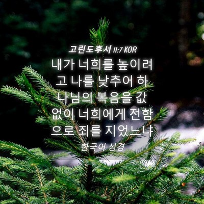 Picture 04 - 고린도후서 11:7 KOR - 내가 너희를 높이려고 나를 낮추어 - Bible Verse Picture
