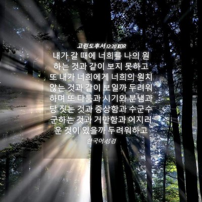 Picture 04 - 고린도후서 12:20 KOR - 내가 갈 때에 너희를 나의 원하는 - Bible Verse Picture