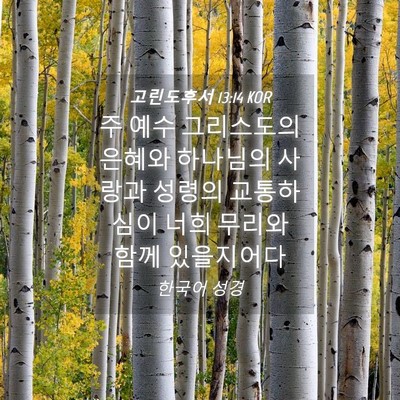 Picture 04 - 고린도후서 13:14 KOR - 주 예수 그리스도의 은혜와 하나님의 - Bible Verse Picture
