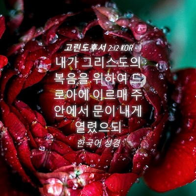 Picture 04 - 고린도후서 2:12 KOR - 내가 그리스도의 복음을 위하여 - Bible Verse Picture
