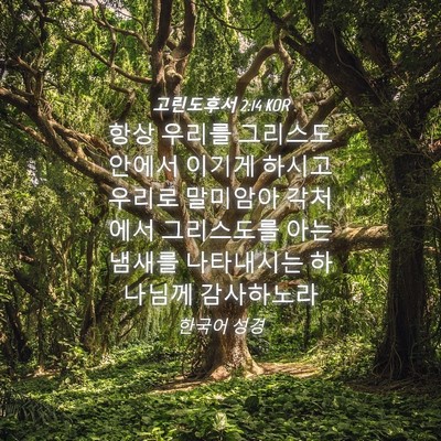 Picture 04 - 고린도후서 2:14 KOR - 항상 우리를 그리스도 안에서 이기게 - Bible Verse Picture