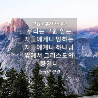 Picture 04 - 고린도후서 2:15 KOR - 우리는 구원 얻는 자들에게나 망하는 - Bible Verse Picture