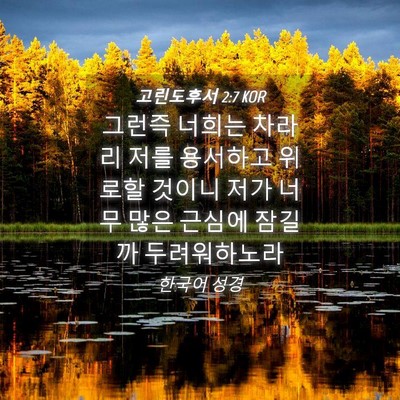 Picture 04 - 고린도후서 2:7 KOR - 그런즉 너희는 차라리 저를 용서하고 - Bible Verse Picture