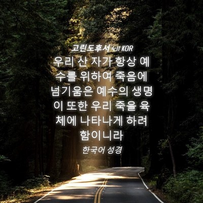 Picture 04 - 고린도후서 4:11 KOR - 우리 산 자가 항상 예수를 위하여 - Bible Verse Picture