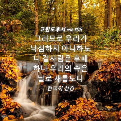 Picture 04 - 고린도후서 4:16 KOR - 그러므로 우리가 낙심하지 - Bible Verse Picture