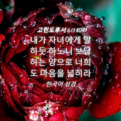 Picture 04 - 고린도후서 6:13 KOR - 내가 자녀에게 말하듯 하노니 - Bible Verse Picture