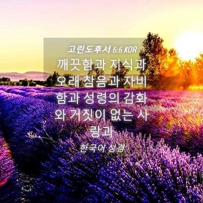 Picture 04 - 고린도후서 6:6 KOR - 깨끗함과 지식과 오래 참음과 - Bible Verse Picture