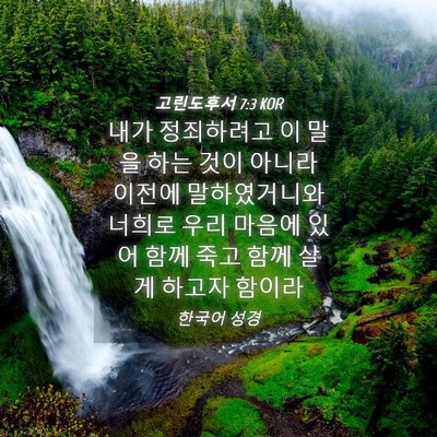 Picture 04 - 고린도후서 7:3 KOR - 내가 정죄하려고 이 말을 하는 것이 - Bible Verse Picture