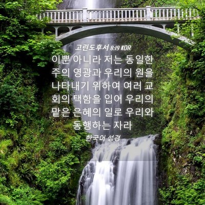 Picture 04 - 고린도후서 8:19 KOR - 이뿐 아니라 저는 동일한 주의 - Bible Verse Picture