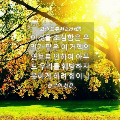 Picture 04 - 고린도후서 8:20 KOR - 이것을 조심함은 우리가 맡은 이 - Bible Verse Picture