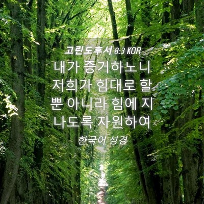 Picture 04 - 고린도후서 8:3 KOR - 내가 증거하노니 저희가 힘대로 할뿐 - Bible Verse Picture