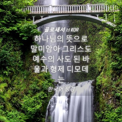 Picture 04 - 골로새서 1:1 KOR - 하나님의 뜻으로 말미암아 그리스도 - Bible Verse Picture