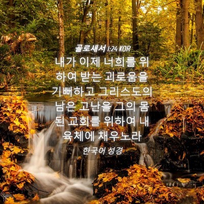 Picture 04 - 골로새서 1:24 KOR - 내가 이제 너희를 위하여 받는 - Bible Verse Picture
