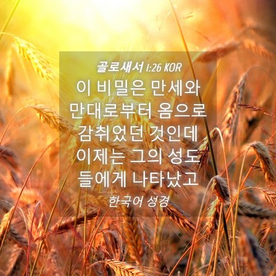 Picture 04 - 골로새서 1:26 KOR - 이 비밀은 만세와 만대로부터 옴으로 - Bible Verse Picture