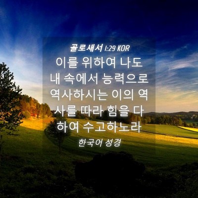 Picture 04 - 골로새서 1:29 KOR - 이를 위하여 나도 내 속에서 - Bible Verse Picture