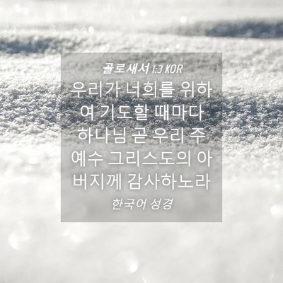 Picture 04 - 골로새서 1:3 KOR - 우리가 너희를 위하여 기도할 때마다 - Bible Verse Picture