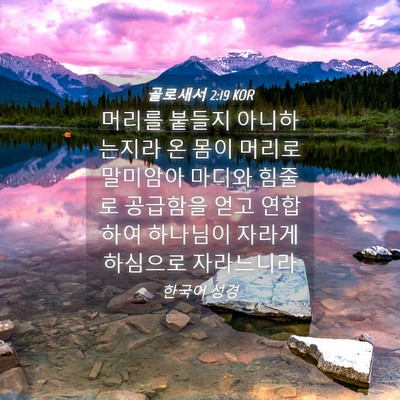 Picture 04 - 골로새서 2:19 KOR - 머리를 붙들지 아니하는지라 온 몸이 - Bible Verse Picture