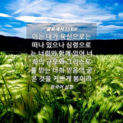 Picture 04 - 골로새서 2:5 KOR - 이는 내가 육신으로는 떠나 있으나 - Bible Verse Picture