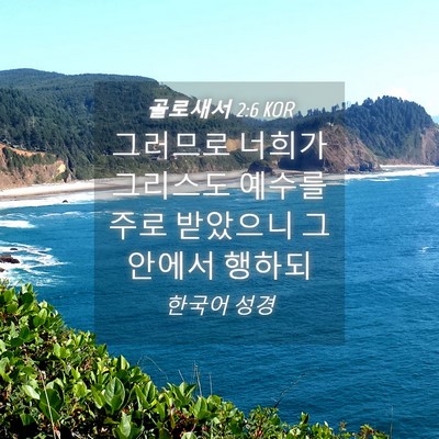 Picture 04 - 골로새서 2:6 KOR - 그러므로 너희가 그리스도 예수를 - Bible Verse Picture