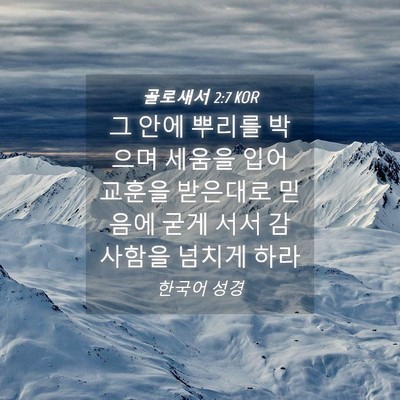 Picture 04 - 골로새서 2:7 KOR - 그 안에 뿌리를 박으며 세움을 입어 - Bible Verse Picture