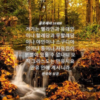 Picture 04 - 골로새서 3:11 KOR - 거기는 헬라인과 유대인이나 - Bible Verse Picture