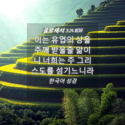 Picture 04 - 골로새서 3:24 KOR - 이는 유업의 상을 주께 받을줄 - Bible Verse Picture