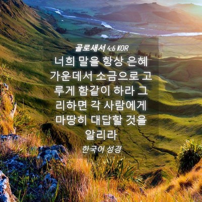 Picture 04 - 골로새서 4:6 KOR - 너희 말을 항상 은혜 가운데서 - Bible Verse Picture