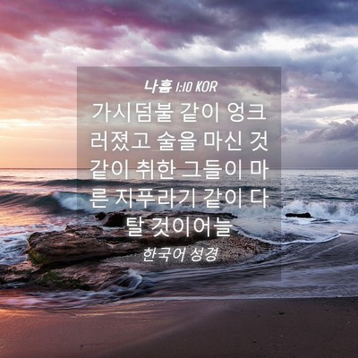 Picture 04 - 나훔 1:10 KOR - 가시덤불 같이 엉크러졌고 술을 마신 - Bible Verse Picture
