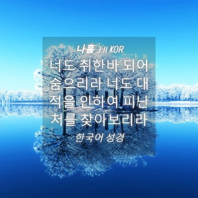 Picture 04 - 나훔 3:11 KOR - 너도 취한바 되어 숨으리라 너도 - Bible Verse Picture
