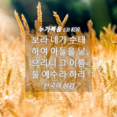 Picture 04 - 누가복음 1:31 KOR - 보라 네가 수태하여 아들을 낳으리니 - Bible Verse Picture