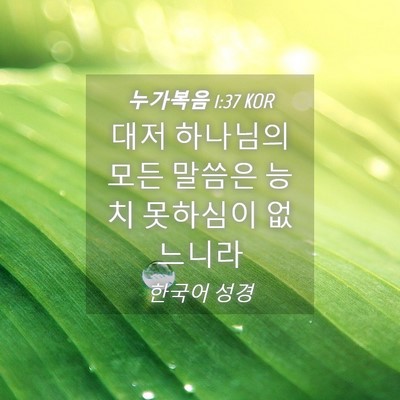 Picture 04 - 누가복음 1:37 KOR - 대저 하나님의 모든 말씀은 능치 - Bible Verse Picture