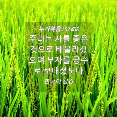 Picture 04 - 누가복음 1:53 KOR - 주리는 자를 좋은 것으로 - Bible Verse Picture