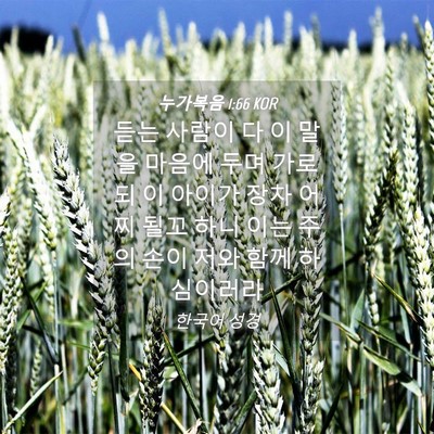 Picture 04 - 누가복음 1:66 KOR - 듣는 사람이 다 이 말을 마음에 두며 - Bible Verse Picture