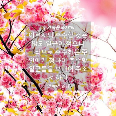 Picture 04 - 누가복음 10:2 KOR - 이르시되 추수할 것은 많되 일군이 - Bible Verse Picture