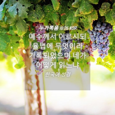 Picture 04 - 누가복음 10:26 KOR - 예수께서 이르시되 율법에 무엇이라 - Bible Verse Picture