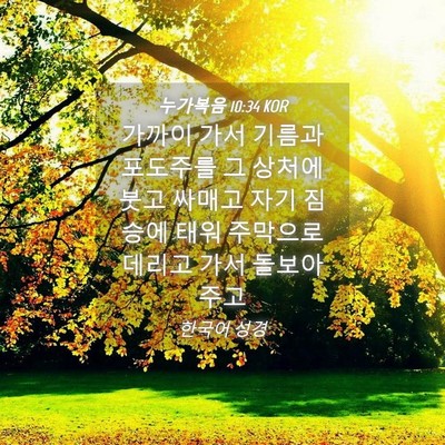Picture 04 - 누가복음 10:34 KOR - 가까이 가서 기름과 포도주를 그 - Bible Verse Picture