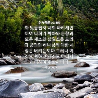 Picture 04 - 누가복음 11:42 KOR - 화 있을찐저 너희 바리새인이여 - Bible Verse Picture