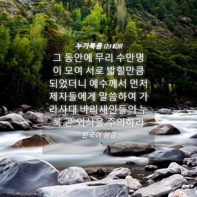 Picture 04 - 누가복음 12:1 KOR - 그 동안에 무리 수만명이 모여 서로 - Bible Verse Picture