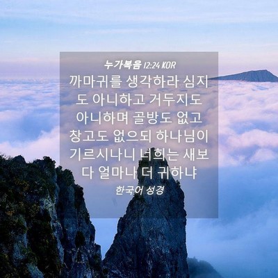 Picture 04 - 누가복음 12:24 KOR - 까마귀를 생각하라 심지도 아니하고 - Bible Verse Picture