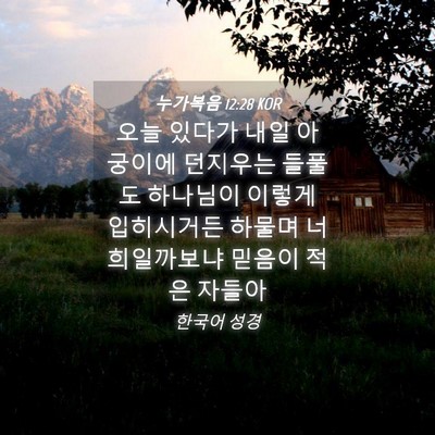 Picture 04 - 누가복음 12:28 KOR - 오늘 있다가 내일 아궁이에 던지우는 - Bible Verse Picture
