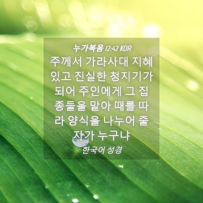 Picture 04 - 누가복음 12:42 KOR - 주께서 가라사대 지혜 있고 진실한 - Bible Verse Picture