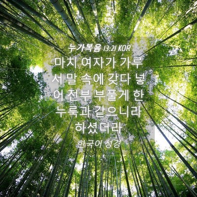 Picture 04 - 누가복음 13:21 KOR - 마치 여자가 가루 서 말 속에 갖다 - Bible Verse Picture