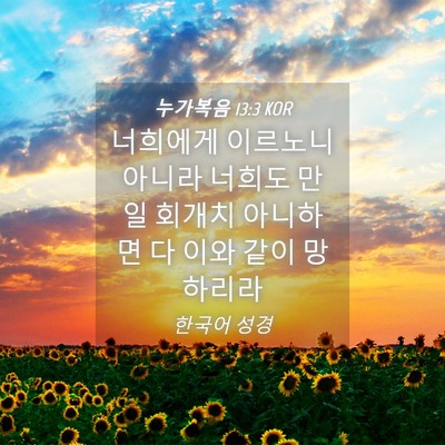 Picture 04 - 누가복음 13:3 KOR - 너희에게 이르노니 아니라 너희도 - Bible Verse Picture