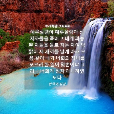 Picture 04 - 누가복음 13:34 KOR - 예루살렘아 예루살렘아 선지자들을 - Bible Verse Picture