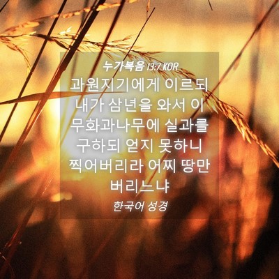 Picture 04 - 누가복음 13:7 KOR - 과원지기에게 이르되 내가 삼년을 - Bible Verse Picture